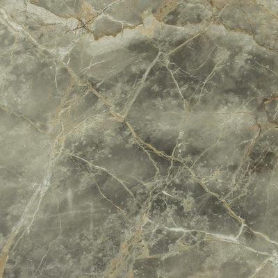 Imported Marble Gris Fleury
